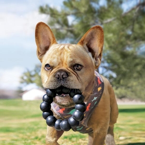 Kong Extreme Yüzük Şeklinde Köpek Oyuncağı Ultra Sert XL - 3