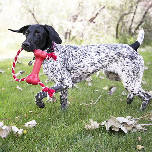 Kong Goodie Bone Kemik Şeklinde Çok Amaçlı İp Sallantılı Köpek Oyuncağı M - 3