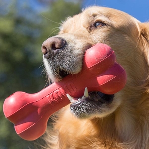 Kong Goodie Bone Kemik Şeklinde Çok Amaçlı Köpek Oyuncağı M - 3