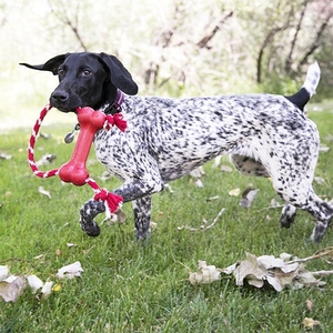 Kong Goodie Bone Kemik Şeklinde İp Sallantılı Çok Amaçlı Köpek Oyuncağı XS - 3