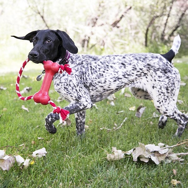 Kong Goodie Bone Kemik Şeklinde İp Sallantılı Çok Amaçlı Köpek Oyuncağı XS - 3