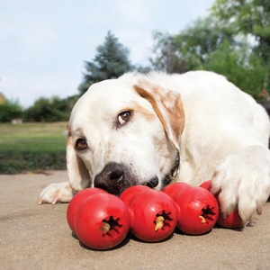 Kong Goodie Ribbon Çoklu Top Şeklinde Köpek Oyuncağı L - 3