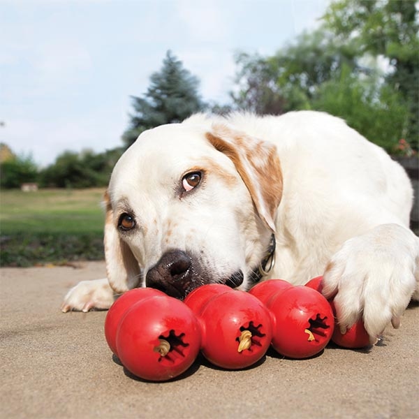 Kong Goodie Ribbon Çoklu Top Şeklinde Köpek Oyuncağı S - 3
