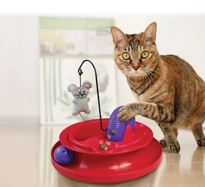 Kong Kedi Oyun Bahçesi 24cm - 2