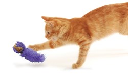 Kong Kedi Peluş Kuyruklu Mantar Oyun Topu 19cm - 3