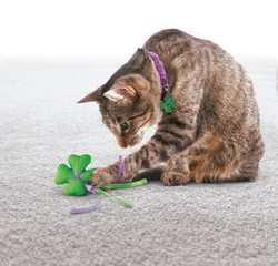 Kong Kedi Yün-Hışırtı Oyuncak ve Tasma Süsü 7-8cm