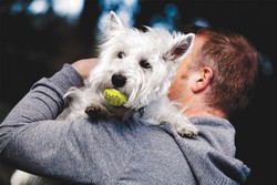 Kong Köpek Air Sq Sesli Tenis Topu M 3 Adet 6,5cm - 2