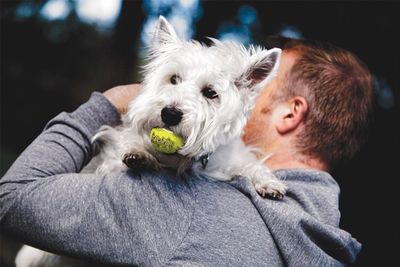 Kong Köpek Air Sq Sesli Tenis Topu M 3 Adet 6,5cm - 2