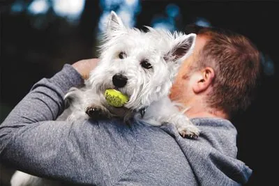 Kong Köpek Air Sq Sesli Tenis Topu S 3 Adet 5cm - 2