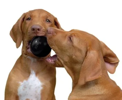 Kong Köpek Extreme Oyun Topu S 6,5cm - 3