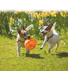 Kong Köpek Jumbler Toplu Oyuncak Medium/Large 17cm - 4