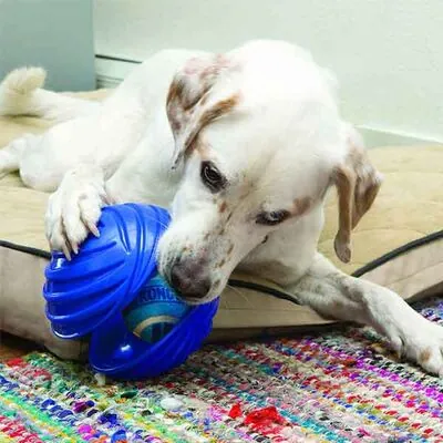 Kong Köpek Oyuncak, Rambler Top, S 13cm - 2