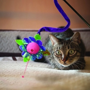 Kong Lazerli Kedi Oltası 45cm - 2