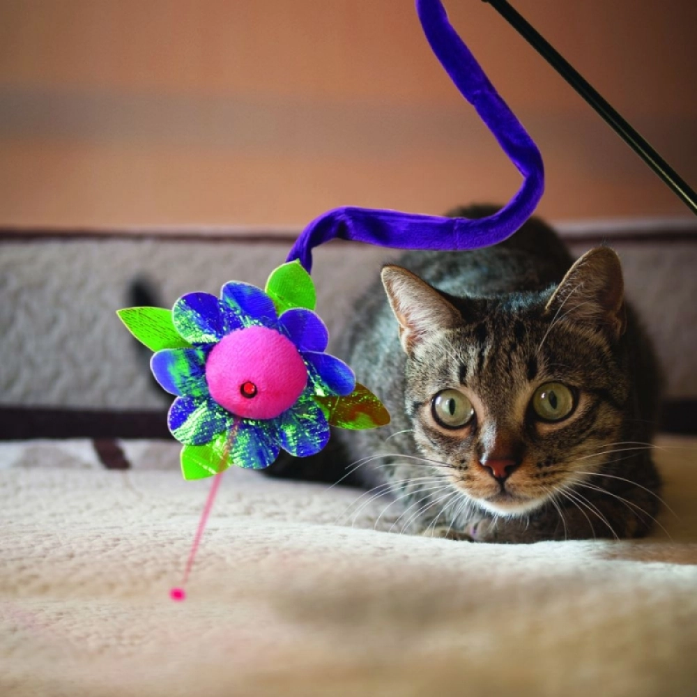 Kong Lazerli Kedi Oltası 45cm - 2