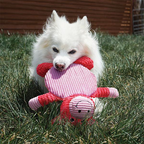Kong Low Stuff Gülen Surat Detaylı Peluş Köpek Oyuncağı 29 cm - 3