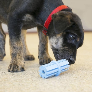 Kong Puppy Teething Stick Diş Temizliği Sağlayan Çok Amaçlı Yavru Köpek Oyuncağı M - 3