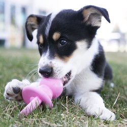 Kong Puppy Yavru Köpek Diş Kaşıma Emzik M 13,5cm - 2