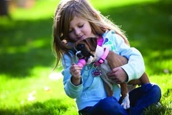 Kong Puppy Yavru Köpek Small (Küçük Irk) 8cm - 6