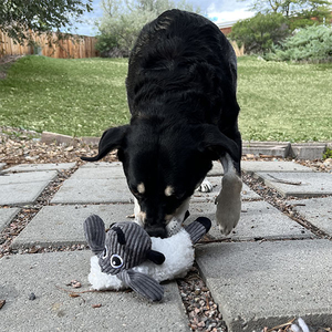 KONG Sherps Kuzu Şeklinde Peluş Köpek Oyuncağı M - 3