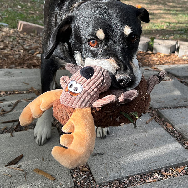 KONG Sherps Ren Geyiği Şeklinde Peluş Köpek Oyuncağı M - 3