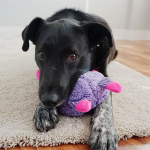 KONG Sherps Sevimli Hipopotam Şeklinde Peluş Köpek Oyuncağı M - 3