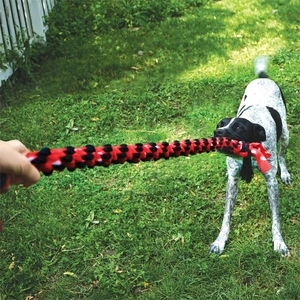 KONG Signature Rope Mega Çift Düğümlü İp Köpek Oyuncağı 101 cm - 3