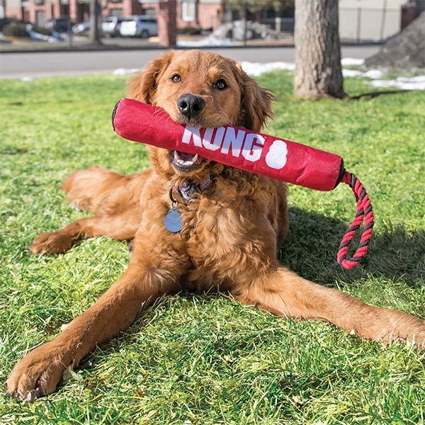 Kong Signature Stick Çubuk Şeklinde İp Detaylı Köpek Oyuncağı 30 cm - 3