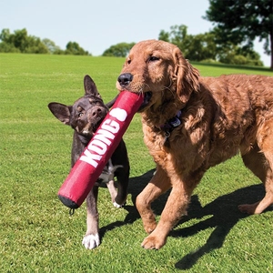 Kong Signature Stick Çubuk Şeklinde Köpek Oyuncağı M - 3