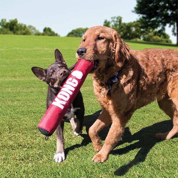 Kong Signature Stick Çubuk Şeklinde Köpek Oyuncağı M - 3