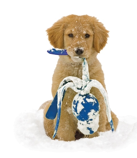 Kong Wubba Sesli Köpek Oyuncağı XL 43cm - 5