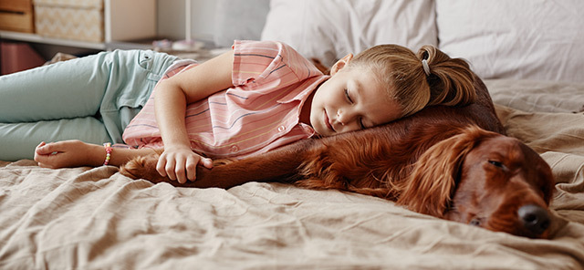 KÖPEĞİNİZLE BİRLİKTE UYUMAK DOĞRU MU?