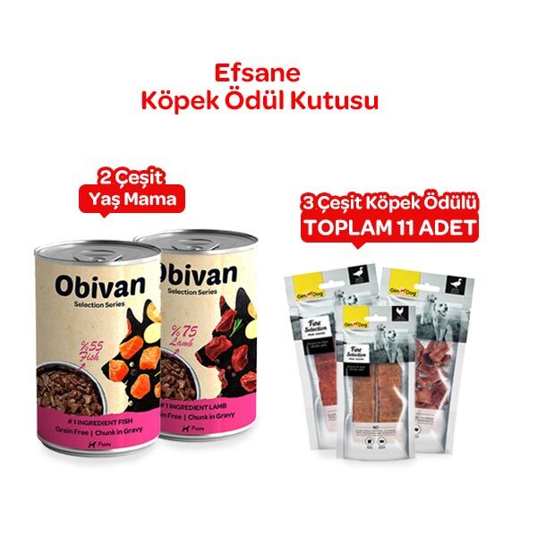 Efsane Köpek Ödül Kutusu - 1