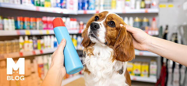 Köpek Şampuanı Nasıl Seçilir?