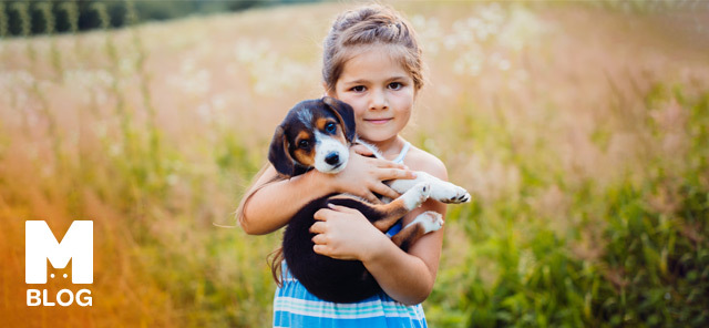 Köpek Yavrusuna Ne Denir?