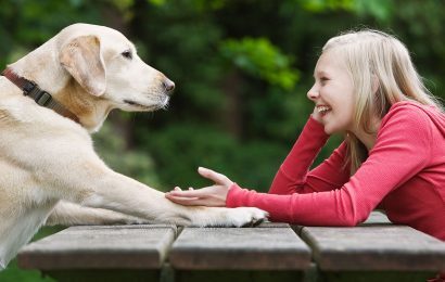 Köpekler Sahiplerini Nasıl Görür?