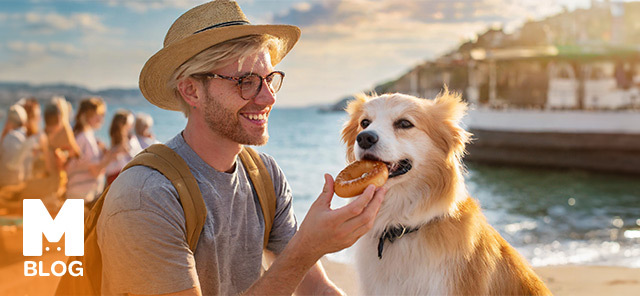 Köpekler Simit Yer mi?
