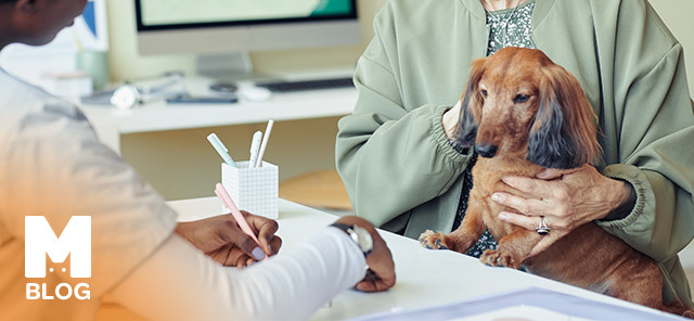 Köpeklerde Mantar Belirtileri ve Tedavisi