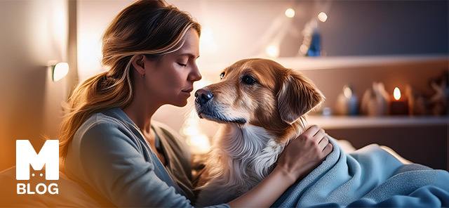 Köpekler de Regl Olur mu?