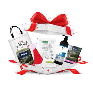 Köpeklere Özel Yılbaşı Paketi Gold