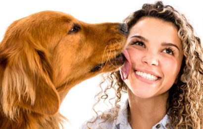 Köpeklerin Beden Dili