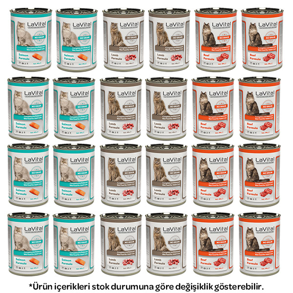 La Vital Karışık Kedi Yaş Maması 400 gr X 24 Adet - 1