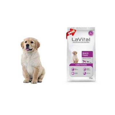 LaVital Kuzu Etli Büyük Irk Yavru Kuru Köpek Maması 12+3 kg - 2