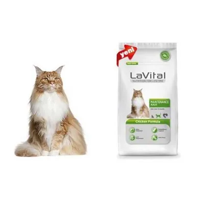 La Vital Maintenance Tavuklu Kedi Maması 1.5 KG - 2
