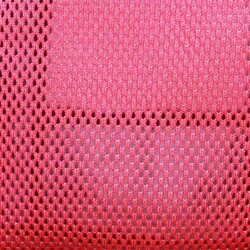 Leon Pet Şeffaf Sırt Çantası Kırmızı - 3