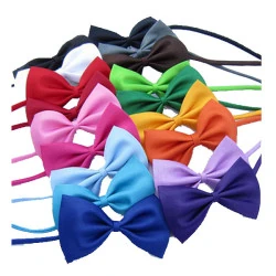 Lion Kediler İçin Papyon