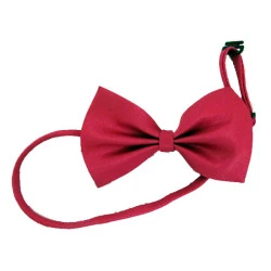 Lion Kediler İçin Papyon - 3