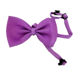 Lion Kediler İçin Papyon - 4