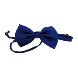 Lion Kediler İçin Papyon - 6