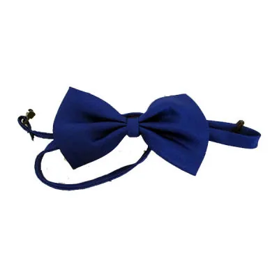 Lion Kediler İçin Papyon - 6