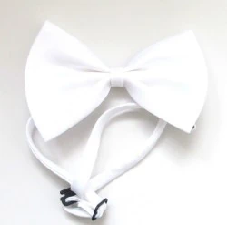 Lion Kediler İçin Papyon - 7